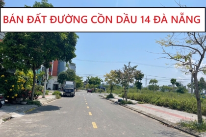 CẦN BÁN LÔ ĐẤT CỒN DẦU 14 - GIÁ 6 TỶ 850 THƯƠNG LƯỢNG