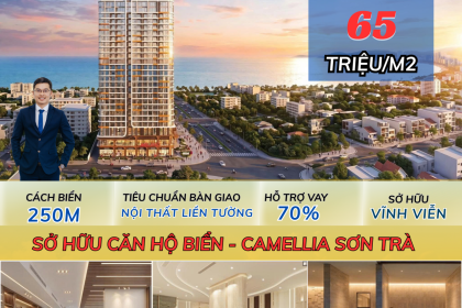 SỞ HỮU CĂN STUDIO CAMELLIA SƠN TRÀ CHỈ 700 TRIỆU